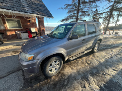 2007 Ford Escape XLT