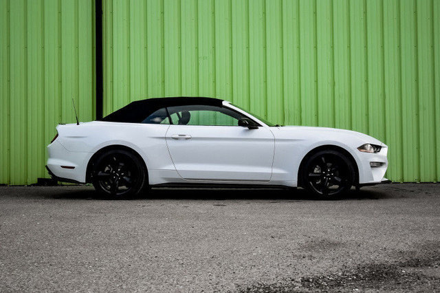 2022 Ford Mustang EcoBoost Premium • COOLED LEATHER • NAV • CP/A in Cars & Trucks in Cornwall - Image 2