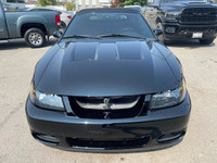 All vehicles come with a full vehicle History Report, ask to see it! 2003 Ford Mustang SVT 10th anni... (image 2)