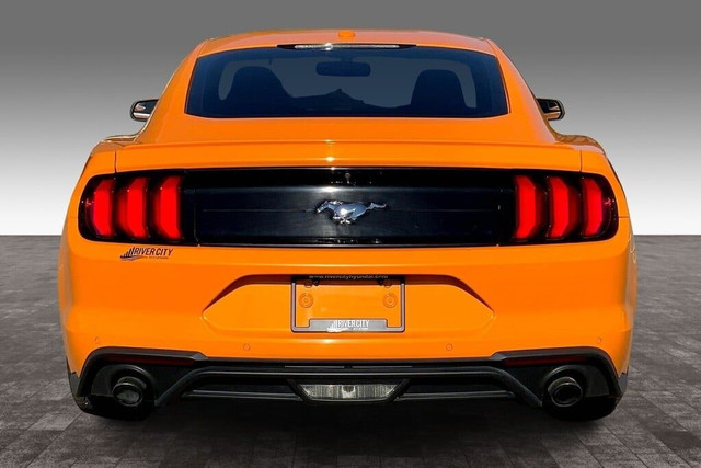 2019 Ford Mustang PREMIUM in Cars & Trucks in Edmonton - Image 4