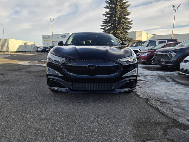 2024 Ford Mustang Mach-E SELECT | COMFORT PKG LITE | MOBILE PWR  in Cars & Trucks in Calgary - Image 2