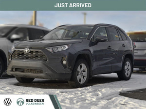 2019 Toyota RAV 4 XLE