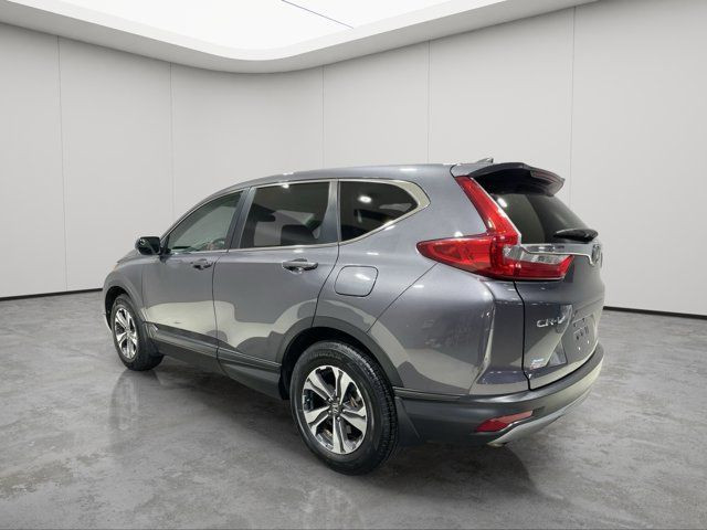 2019 Honda CR-V LX - CLEAN CARFAX - ONE OWNER in Cars & Trucks in Strathcona County - Image 4