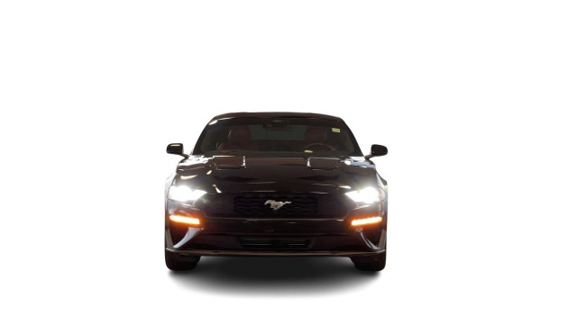 2022 Ford Mustang Coupe Ecoboost Premium Fully Loaded! Just Redu in Cars & Trucks in Regina - Image 4