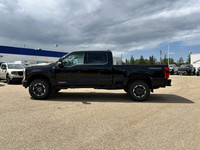 The 2025 Ford Super Duty is a great vehicle for those drivers who need more power than a standard pi... (image 3)