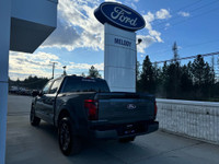 STX 2WD SuperCrew 5.5' Box Engine: 5.0L V8 (image 5)