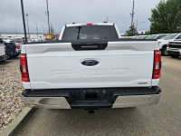 2023 Ford F-150 XLT 4WD SuperCrew 5.5' Box, 3.3L V6 Gas, XTR Package, FX4 Off Road Package, Trailer... (image 3)