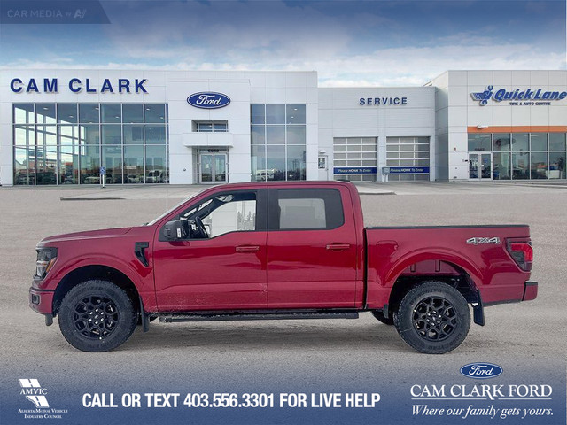 2025 Ford F-150 XLT in Cars & Trucks in Red Deer - Image 4
