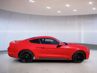 // SINGLE OWNER! // // LOW KILOMETRES! // // MANUAL TRANSMISSION // Experience the thrill of pure dr... (image 1)