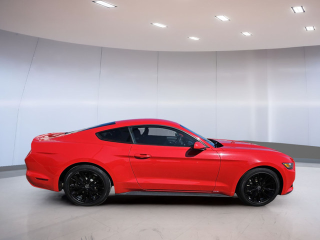 Ford Mustang V6 2017 in Cars & Trucks in Medicine Hat - Image 2