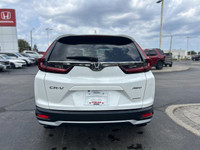 Enjoy effortless style and all-wheel-drive capability in this 2022 Honda CR-V Sport. With only 45,71... (image 5)