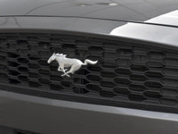 Brake Assist, Cruise Control, Keyless Entry, Smart Device Integration! This 2016 Ford Mustang Base c... (image 9)