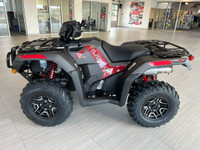 2024 Honda Rubicon Deluxe 520 (Price Includes Freight)