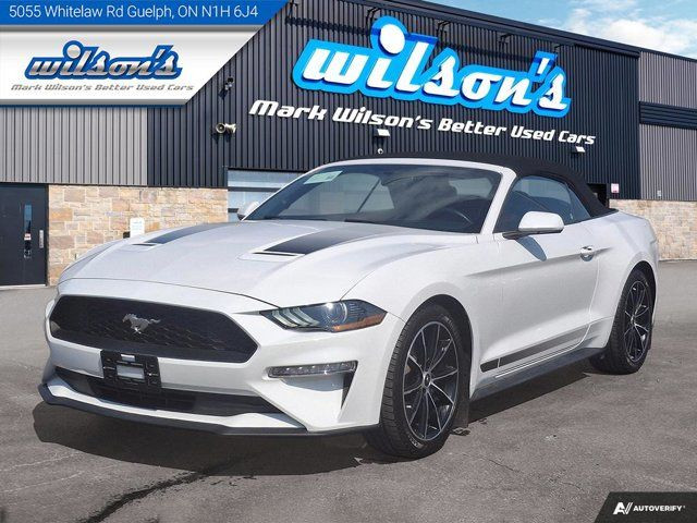 2020 Ford Mustang EcoBoost Convertible - Wheel & Stripe PKG in Cars & Trucks in Guelph
