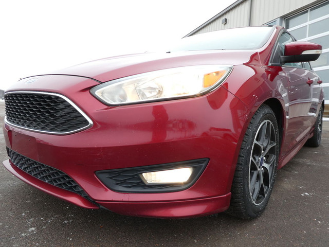  2015 Ford Focus SE,Back Up Camera, Heated Seats & Steering Whee in Cars & Trucks in Moncton - Image 3