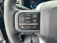 The 2024 Ford Super Duty is a great vehicle for those drivers who need more power than a standard pi... (image 8)