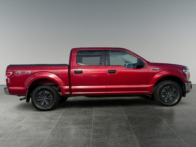 2018 Ford F-150 XL 4WD SuperCrew 5.5' Box in Cars & Trucks in Edmonton - Image 4