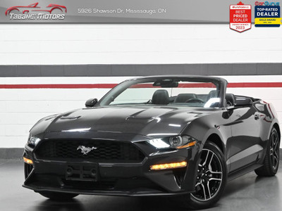 2022 Ford Mustang EcoBoost Premium No Accident Leather Blindspot