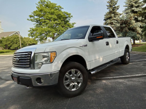 2010 Ford F 150 XLT