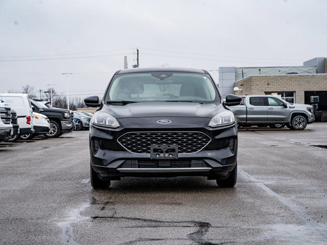 2020 Ford Escape SE - 1.5L Ecoboost Engine | Heated Front Seats in Cars & Trucks in Belleville - Image 2