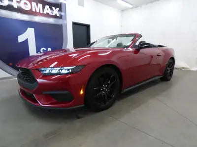 Automatique à 10 vitesses, 12,000 km (certifié), Édition "EcoBoost Convertible", Jamais accidenté (r...