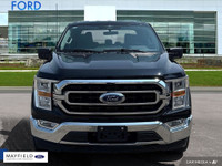 Engine: 8 Cylinder Engine 5.0L L/100Km City: 15.4 L/100Km Hwy: 11.8 Safety Equipment ABS And Driveli... (image 1)