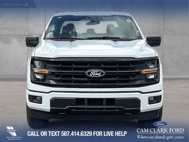 2025 Ford F-150 XLT in Cars & Trucks in Calgary - Image 2