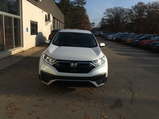 2020 Honda CR-V LX Priced To Move, Unwavering Honda Quality,... in Cars & Trucks in Annapolis Valley - Image 3
