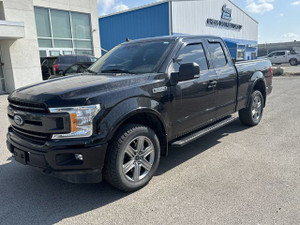 2019 Ford F 150