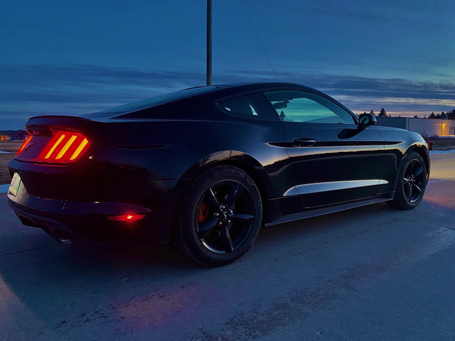 2017 Ford Mustang EcoBoost in Cars & Trucks in Winnipeg - Image 2