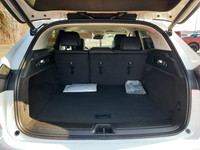 Engine: 2L TURBO 4cyl. L/100Km City: 10.8 L/100Km Hwy: 8.3 Safety Equipment Teen Driver a configurab... (image 8)