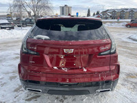 Introducing the New 2025 Cadillac XT4 Sport AWD, a striking SUV finished in radiant Red Metallic. En... (image 6)