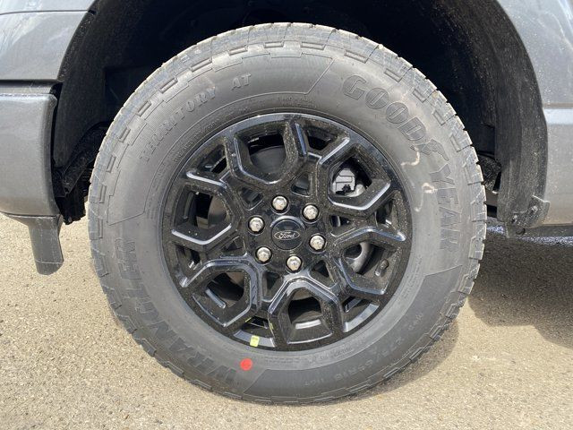 2025 Ford F-150 XLT | 302A | SuperCrew 145 in Cars & Trucks in Edmonton - Image 3