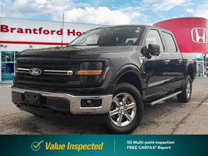 2024 Ford F 150 XLT