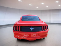 Experience the thrill of the open road in this stunning red Mustang, where power meets elegance. The... (image 6)