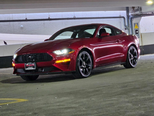2019 Ford Mustang ECOBOOST FASTBACK-AUTO-CARPLAY-CAMERA-NEW TIRE in Cars & Trucks in City of Toronto - Image 3