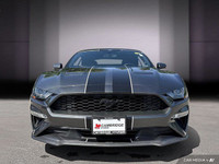 *2019 Ford Mustang EcoBoost Premium Convertible | Automatic | Turbocharged | Low KM* Iconic design m... (image 7)