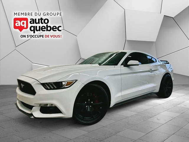 2016 Ford Mustang EcoBoost / Manuel / Banc Recaro / dans Autos et camions  à Thetford Mines