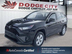 2019 Toyota RAV 4 LE