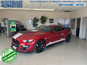2020 Ford Mustang Shelby GT500