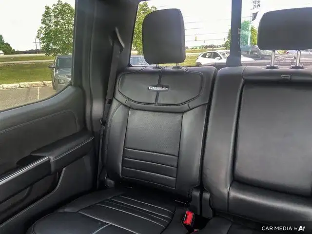 2025 Ford Super Duty F-250 SRW Platinum dans Autos et camions dans Brandon - Image 13