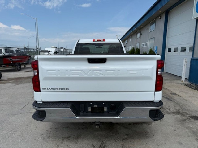 2019 Chevrolet Silverado 1500 2WD Reg Cab 140 Work Truck in Cars & Trucks in Winnipeg - Image 4