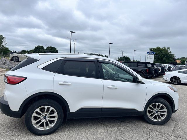 2020 Ford Escape SE in Cars & Trucks in Kitchener / Waterloo - Image 4