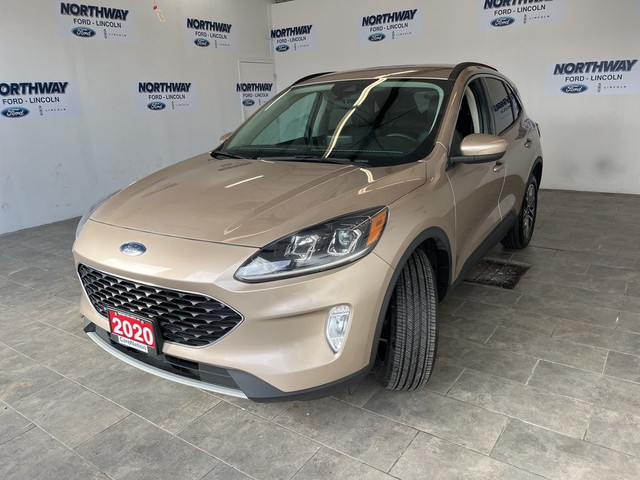 2020 Ford Escape SEL | AWD | LEATHER | CO-PILOT 360 | NAVIGATION in Cars & Trucks in Brantford - Image 2