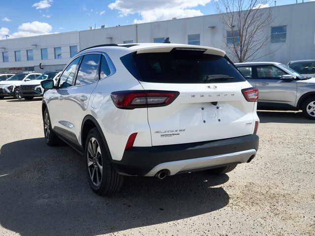 2023 Ford Escape Platinum AWD | No Accidents | 360Camera in Cars & Trucks in Edmonton - Image 3