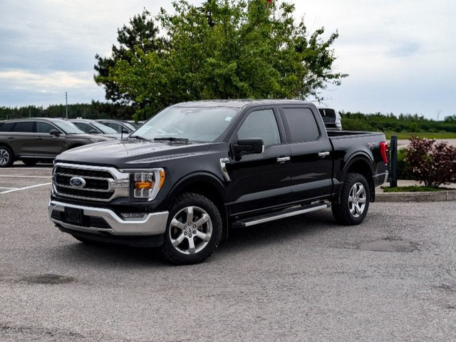 2022 Ford F-150 XLT WHOAAA BLACK BETTY! HAMSTER DAM! in Cars & Trucks in Kawartha Lakes - Image 2