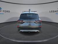 *Premium Technology Package, 360 Camera, Class II Trailer Tow Package, Reverse Brake Assist, Heads u... (image 6)