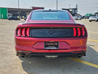 { CERTIFIED PRE-OWNED } THIS VEHICLE COMES FULLY CERTIFIED WITH A SAFETY CERTIFICATE SERVICED AT NO... (image 5)