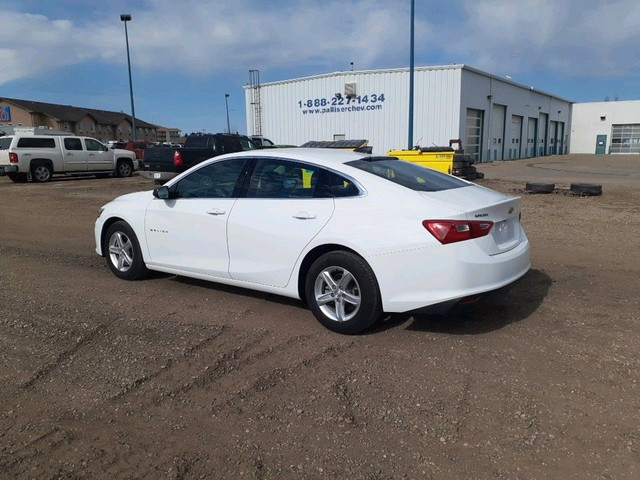 2019 Chevrolet Malibu 1LS in Cars & Trucks in Red Deer - Image 3