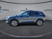 *Premium Technology Package, 360 Camera, Class II Trailer Tow Package, Reverse Brake Assist, Heads u... (image 4)